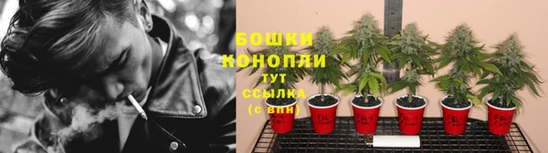 PSILOCYBIN Новосибирск