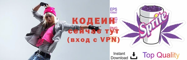 спиды Ессентукская