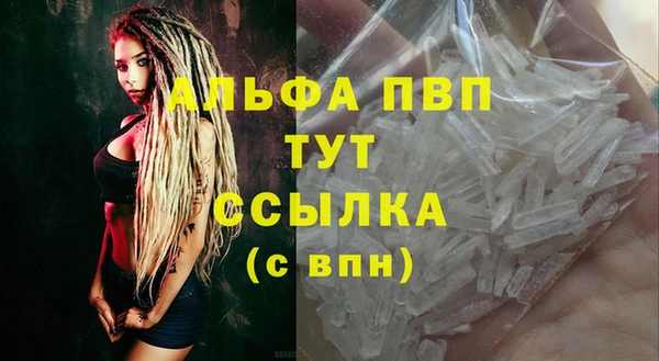 спиды Ессентукская